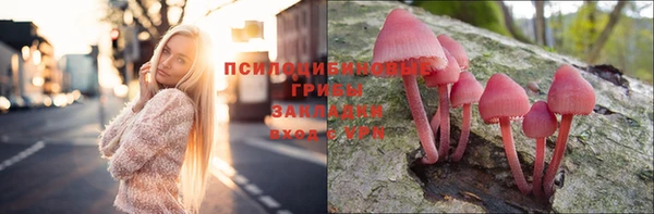 шишки Бронницы