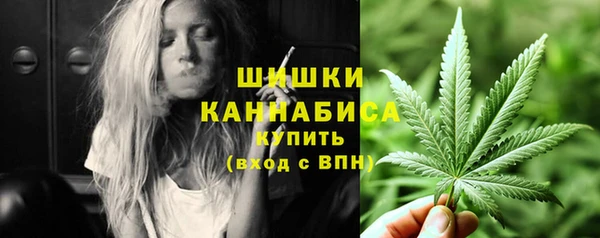 шишки Бронницы