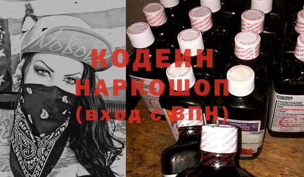 стаф Бородино
