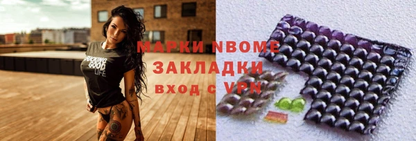 стаф Бородино