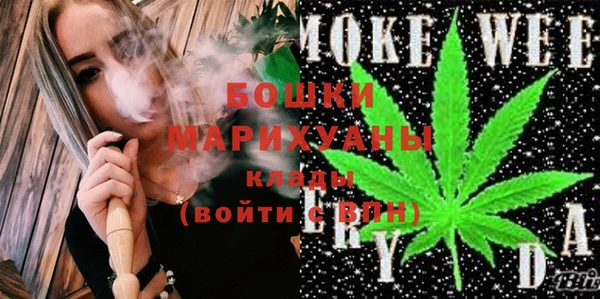 стаф Бородино